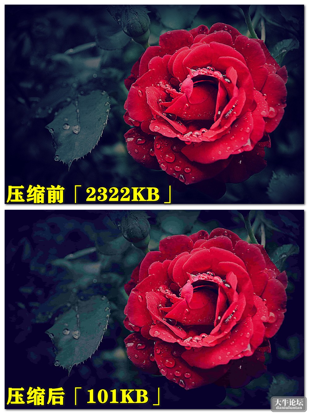 压缩前后视觉对比图.jpg