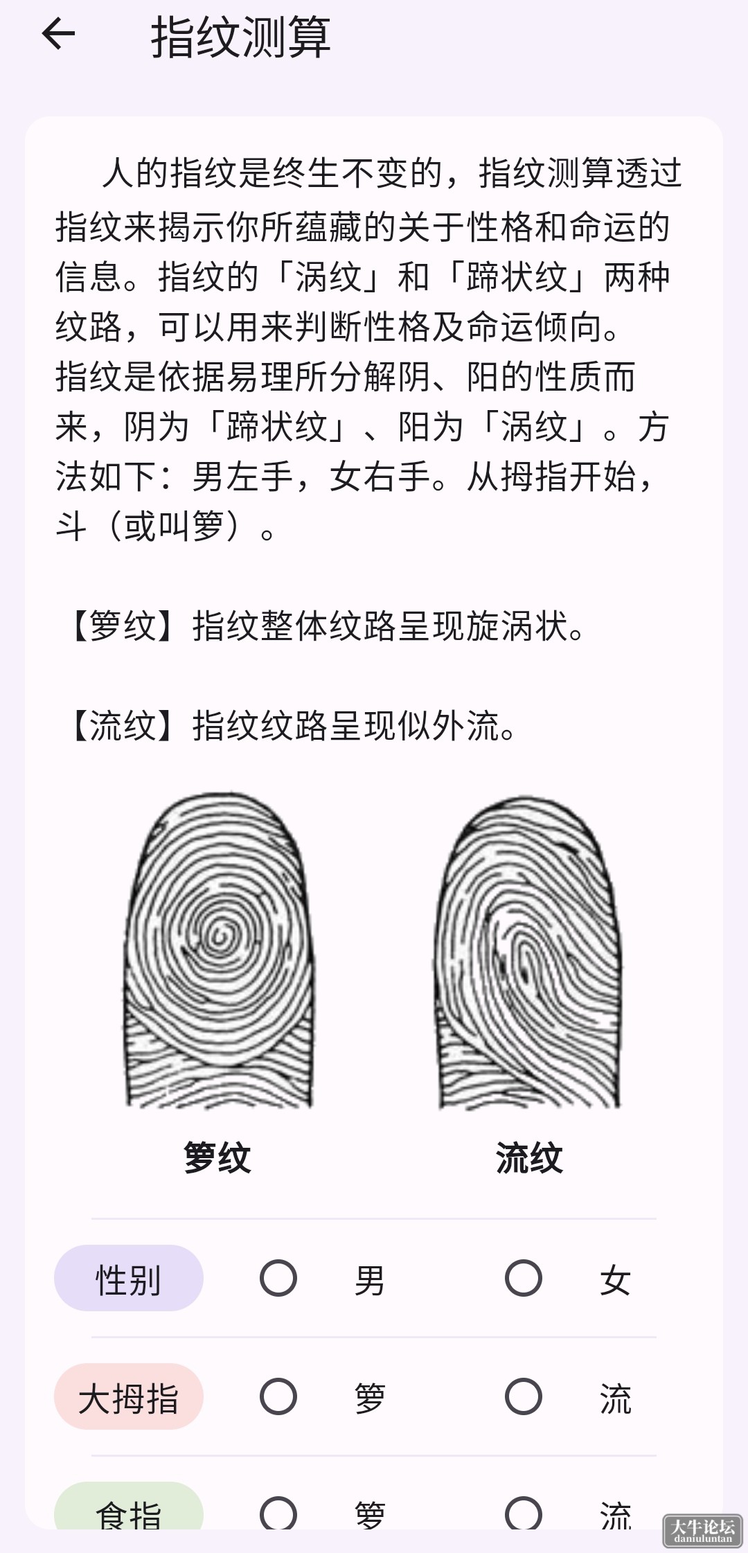 S40505-22040636_top.xbuild.palmistry.png