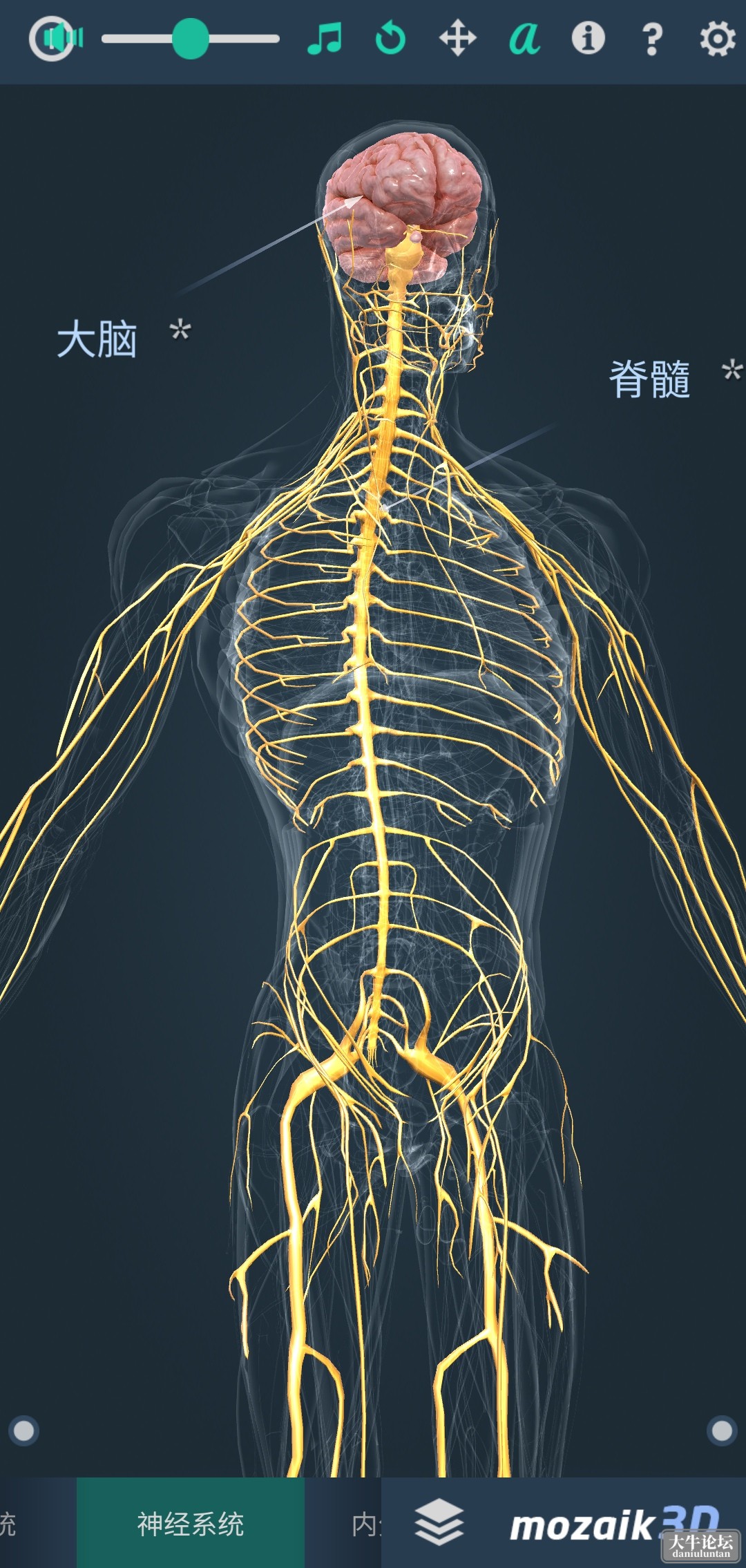 S40505-22413187_com.rendernet.humanmale.png
